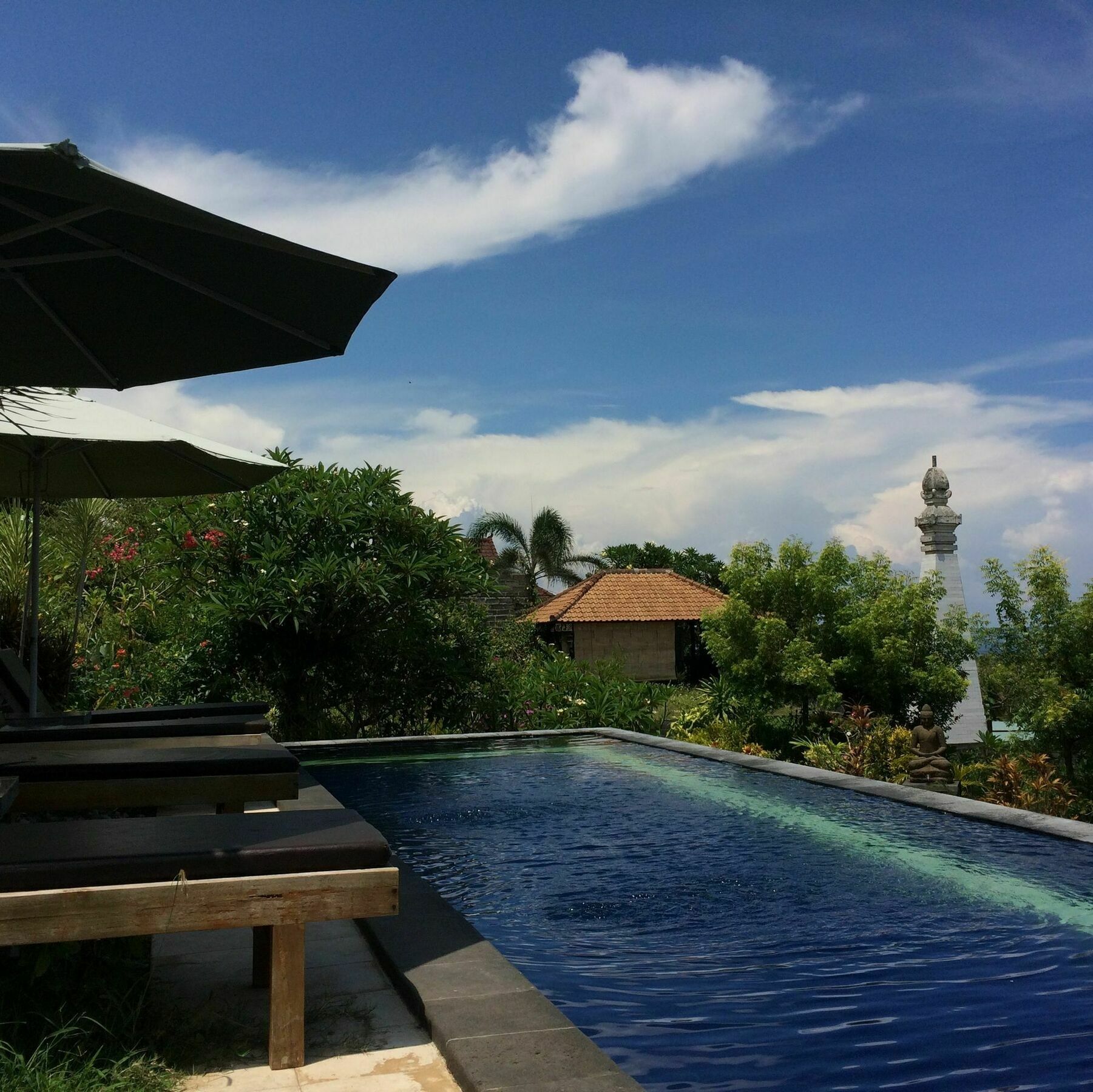 Bali Natur Lovina Beach Extérieur photo